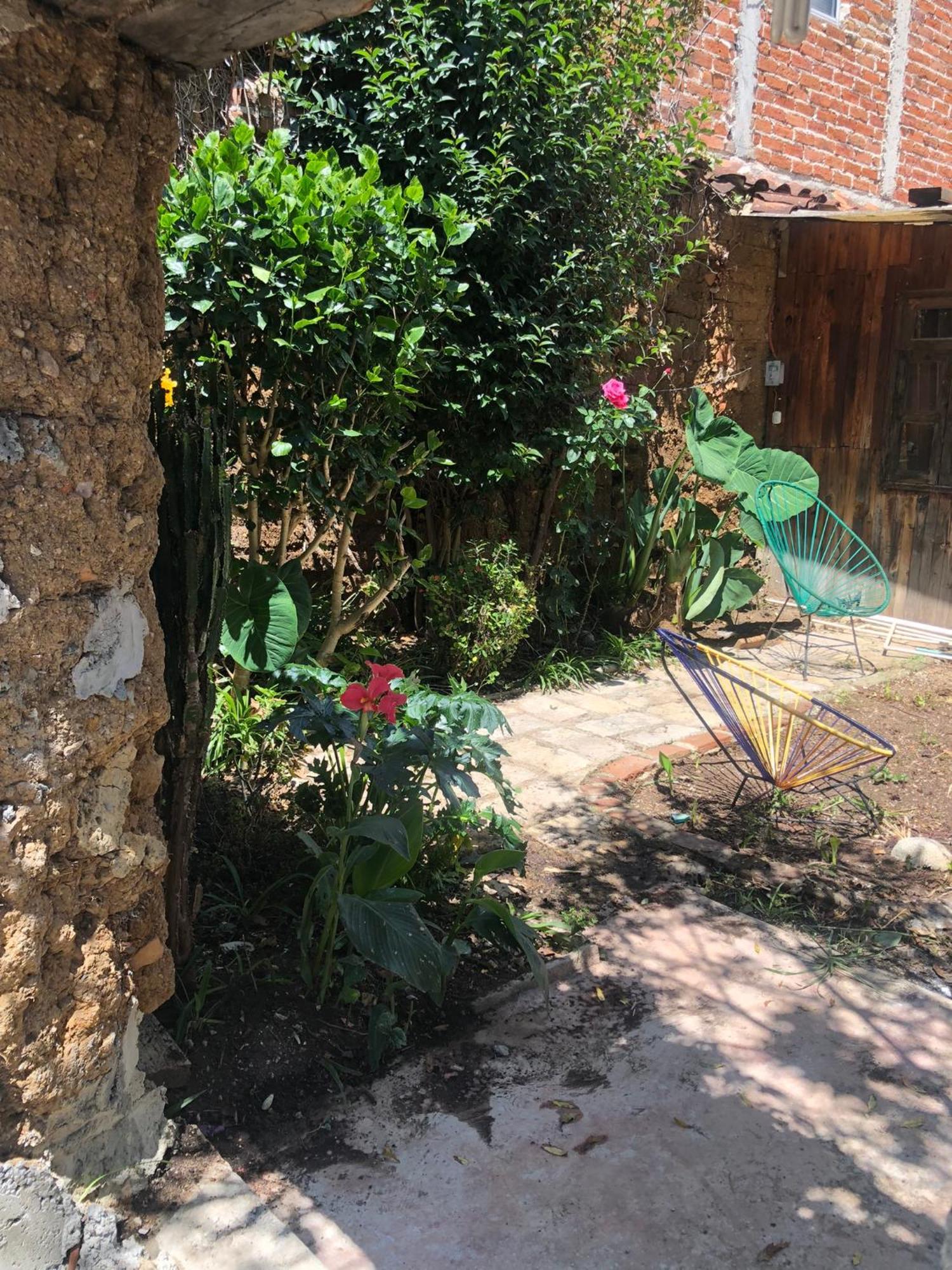 Hostal Casa Gaia Сан-Кристобаль-де-Ла-Касас Экстерьер фото
