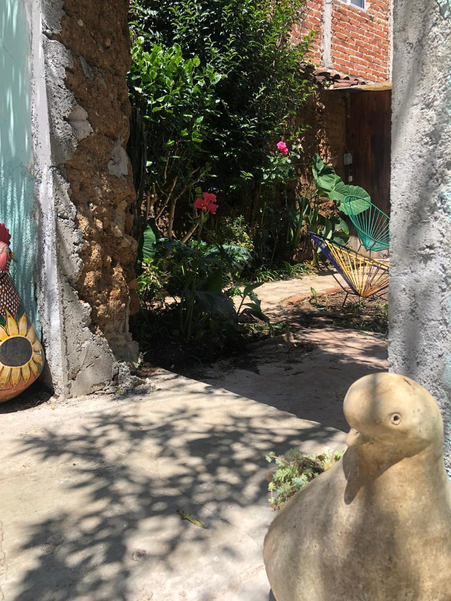 Hostal Casa Gaia Сан-Кристобаль-де-Ла-Касас Экстерьер фото